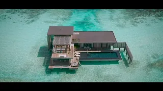 Waldorf Astoria Maldives Ithaafushi - Stella Maris Villa