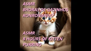 ASMR - SOM DE GATINHO RONRONANDO | ASMR - KITTEN PURRING