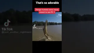 How an alligator floats