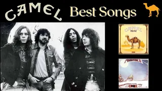 Top 15 Best Camel Songs