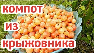 5 минутка с Наташей#КОМПОТ из КРЫЖОВНИКА