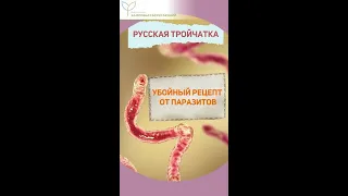 Русская тройчатка – убойный рецепт от паразитов