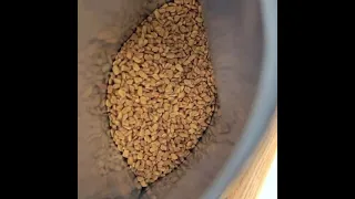 Пажитник (шамбала, чаман) семена. Основной ингредиент многих индийских смесей.