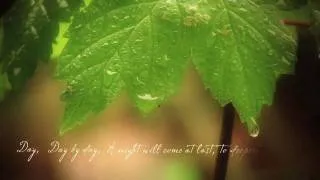 Falling with the Rain on Vimeo