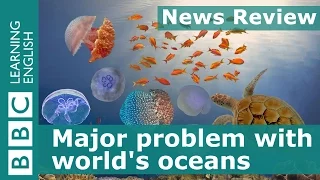 Major problem with world's oceans: BBC News Review