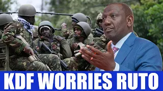 3 orders but silent, Shocking message from KDF badly worries Ruto