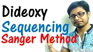 Sanger sequencing method - dideoxy sequencing of DNA