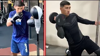 Dmitry Bivol training for Canelo Alvarez. Бивол Канело тренировка. Highlights Training Hd Boxing