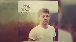 Niall Horan - Slow Hands (Basic Tape Remix)