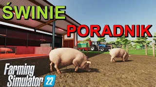 Świnie 🐷🐖🐖  Hodowla Poradnik Farming Simulator 22