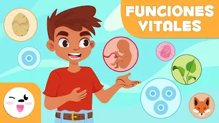 Las FUNCIONES VITALES de los SERES VIVOS - Relación, nutrición y reproducción - Ciencias para niños