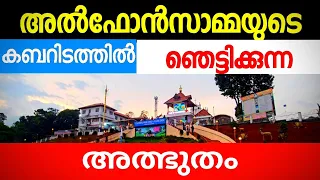 St. Alphonsa's Tomb/വിശുദ്ധ അൽഫോൺസാമ്മയുടെ കബറിടം