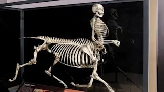 10 Scary Skeletons Ever Discovered!