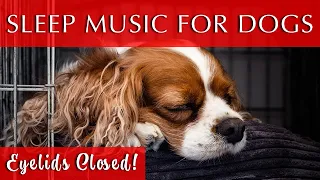 Quiet Music to Put Dogs to Sleep | Heavy Eyelids For All