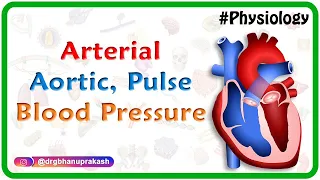 Arterial Blood pressure , Aortic Blood Pressure , Pulse pressure - CVS Physiology medical animations