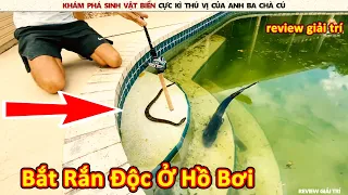 Hai thanh niên bắt rắn độc ở Hồ Bơi bị bỏ hoang hơn 10 năm và cái kết || Review Giải Trí