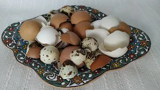 Не выбрасывайте яичную скорлупу! Получилась красота! // Regular egg shell!