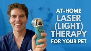 Ease your Pet's Pain with At-Home Laser (light) Therapy
