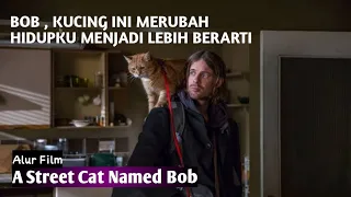 Berkah Menyayangi Kucing | Alur Cerita Film - A Street Cat Named Bob