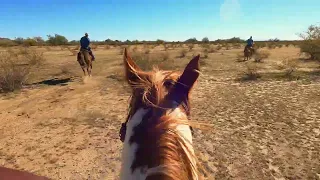 BB Ranch Ride Saturday Jan 27, 2024