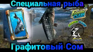 Охота на Сома / Специальная рыба Графитовый Сом / Fishing Clash: Реальная рыбалка