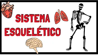 Sistema Esquelético | Ossos do Corpo Humano | Resumo Animado