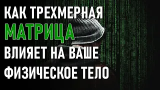 Как трехмерная матрица влияет на ваши физические тела