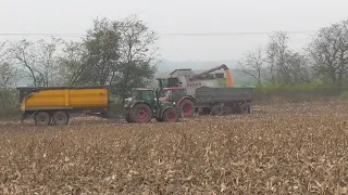 Claas Lexion 440 kokorica aratás 2020