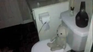 Ghost Moves Teddy Bear and Toilet Paper! -on film