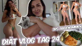 Diät VLOG Tag 24 | 3kg abgenommen