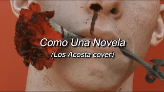 Luis Sosa - Como Una Novela (Los Acosta cover)