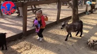 Кукла Ненуко и Ярослава. Зоопарк для детей. Прогулка в парке с животными. Tiki Taki Cook