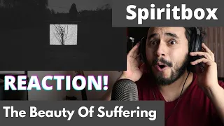 Professional Musician's FIRST TIME REACTION to Spiritbox - The Beauty Of Suffering