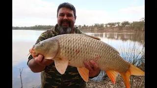 How to kill a carp