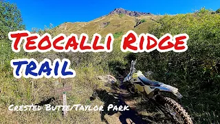 SUPER FUN SINGLE TRACK Teocalli Ridge & Teocalli Mountain Trail, Crested Butte, Taylor Park TPI