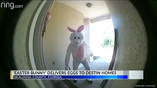 Easter bunny caught on Ring cam "egging" homes!