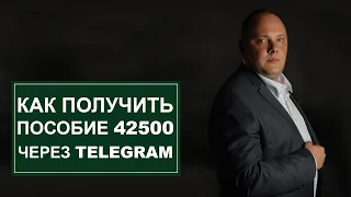 Пособие 42500 через TELEGRAM (пошаговая инструкция)