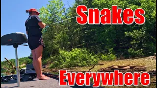 I Fished A Lake Full Of Snakes! #LBAA