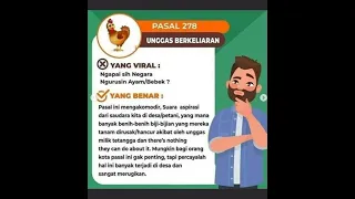 Ayam Tetangga Mengotori Teras Rumah, Gmn hukumnya..?