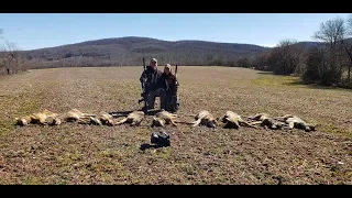 Thermal Predator Hunt Ep 3: Nine Virginia Coyotes Down