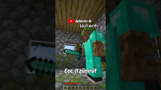 Minecraft Köylü Hayatı