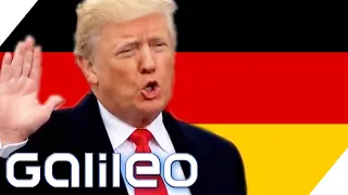 Trump als Bundeskanzler?! Wie wäre das? | Galileo