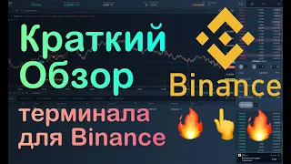 Краткий обзор бесплатного торгового терминала Trading Panel для Binance