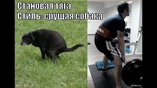 Кого, что и зачем Вы ищите в Фитнес Клубе?