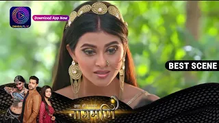 Ishq Ki Dastaan Naagmani | 10 june 2023 | पारो ने छोड़ा चिक्की को उसकी माँ के पास !  | Best Scene