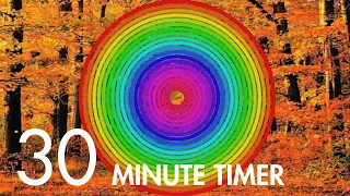 30 Minute Autumn Radial Timer