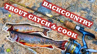 Backcountry Trout Catch and Cook [Brook & Cutthroat Trout Fishing]
