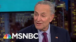 Chuck Schumer: Opponents Of Impeachment Witnesses Don't Want The Truth | Rachel Maddow | MSNBC