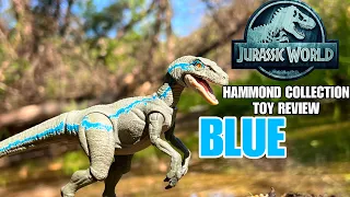 JURASSIC WORLD Hammond Collection Velociraptor BLUE Toy Review #jurassicworld #dinosaurs #toys