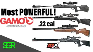 ULTIMATE Gamo Swarm POWER TEST! Gamo Swarm Magnum, Swarm Maxxim, Bone Collector and Swarm Fusion!